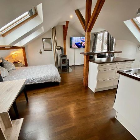 Wohnen Ueber Den Daechern Von Ravensburg, Stadtnah, Kamin, Klima Exterior foto